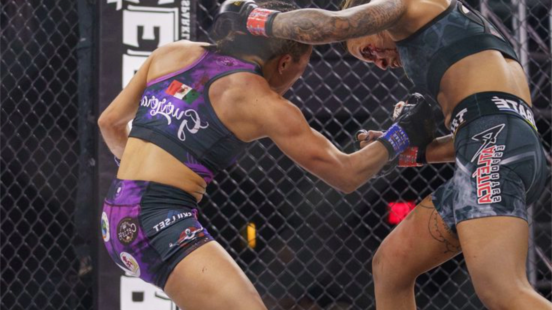 women in mma